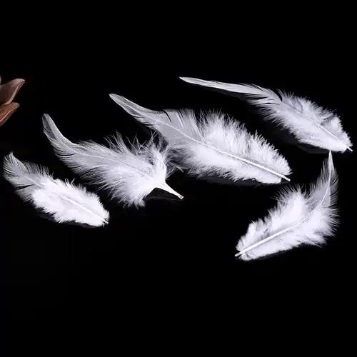 优质厂家现货供应5-6白尖羽毛鸡毛 12~15cm服装辅料工艺品diy手工