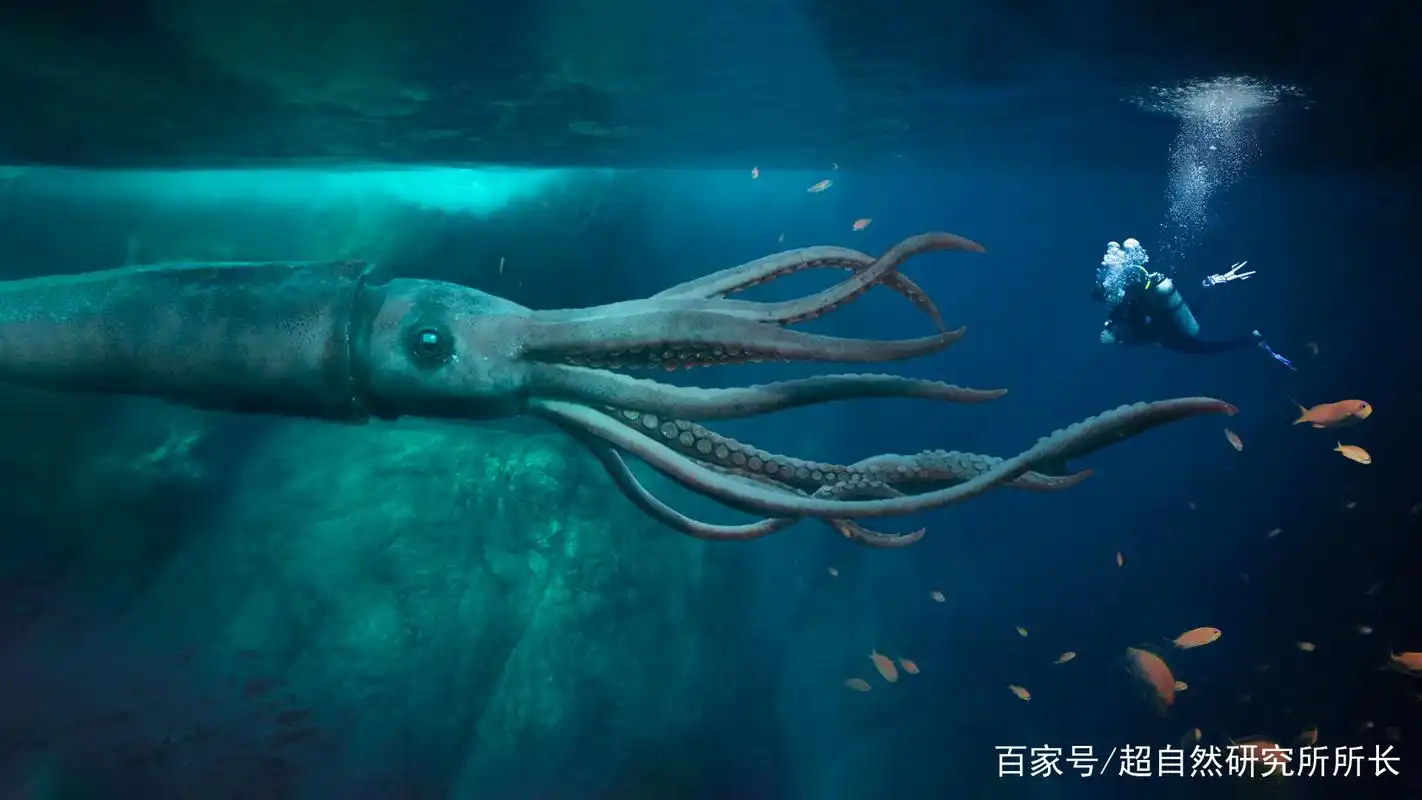 超出你想象的十大深海怪物!终于拍到了它们!