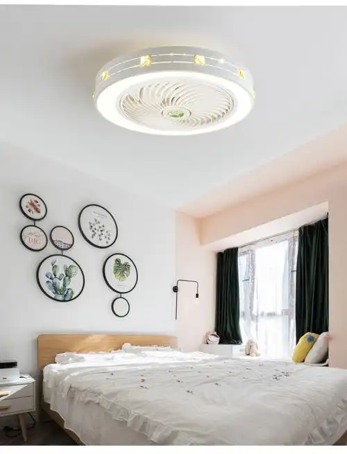 领王吸顶风扇灯吊扇灯卧室餐厅家用隐形灯扇现代简约带电扇的吊灯