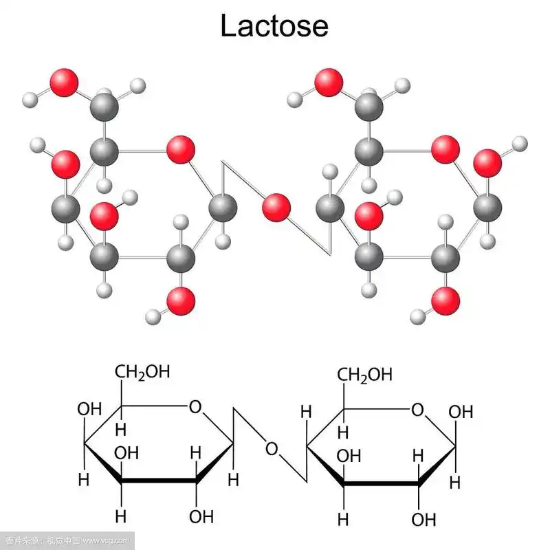 乳糖分子的化学式和模型