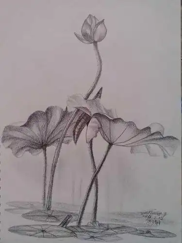 简笔画书法国画素描绘画