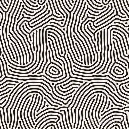 插画 有机的不规则圆形的线条.矢量无缝黑色和白色花纹.eps