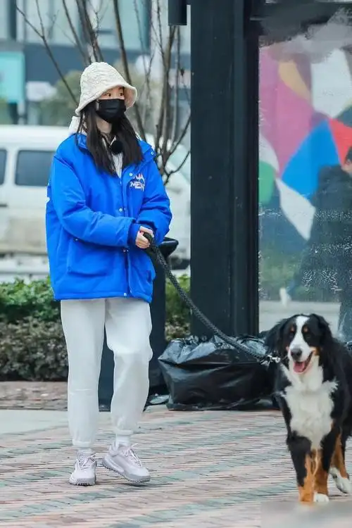 同是戴口罩出街路人一眼认出张雨绮对硬糖少女的态度却很真实