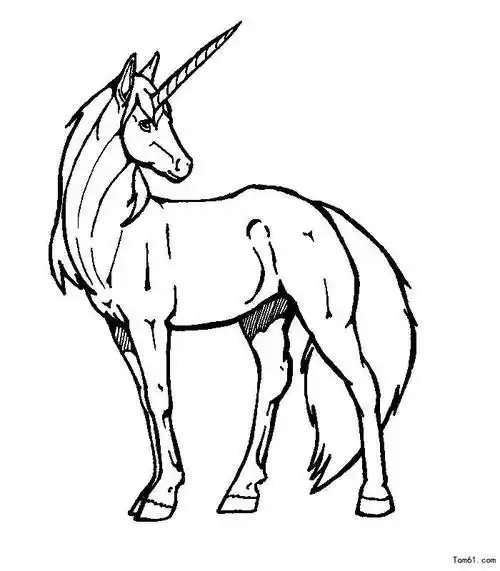 独角兽简笔画 独角兽简笔画简单又漂亮