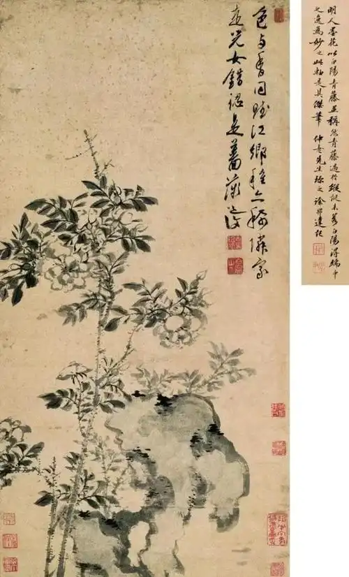 陈淳花鸟画重笔墨气韵重写意精神