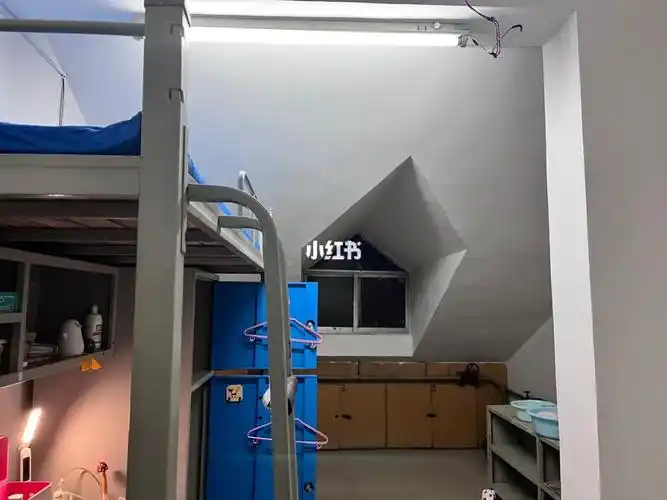 喜提魔幻单人间90#山东农业大学