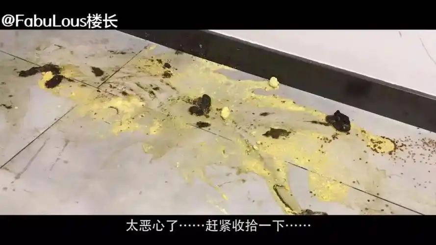 一个爬友的专业素养:如何从铲屎想吐到铲出幸福露出一脸慈祥的微笑