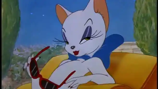 猫和老鼠:家对面搬来一只白猫,汤姆爱慕不已,整个猫就不好了