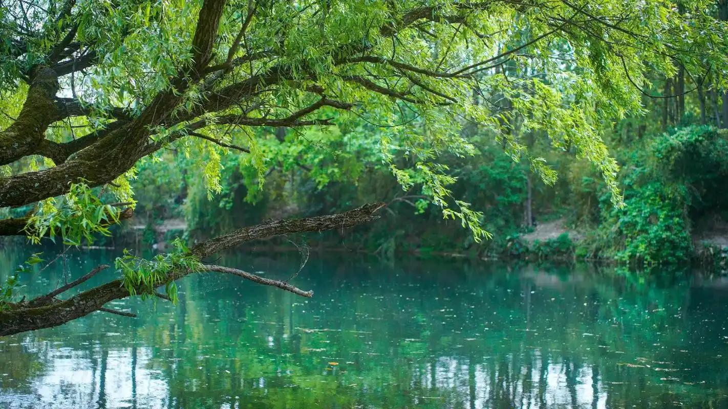 来感受林城的夏天吧