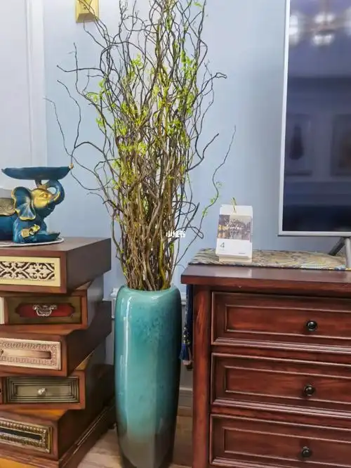 很哇塞的水培龙柳