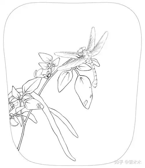 宋小品《临宋豆花蜻蜓图》 尺寸:35×29cm国画工笔,绘画步骤图 - 知乎