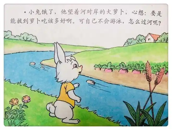 年级动物作文小猫怎么写_年级写小动物的作文_小动物作文四年级