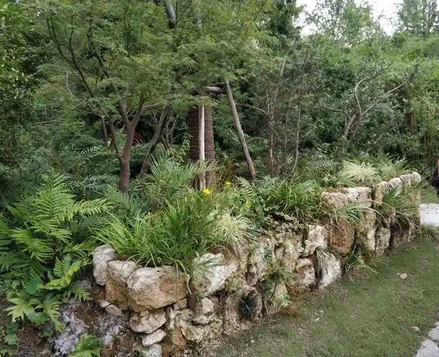 毛石挡墙野趣十足