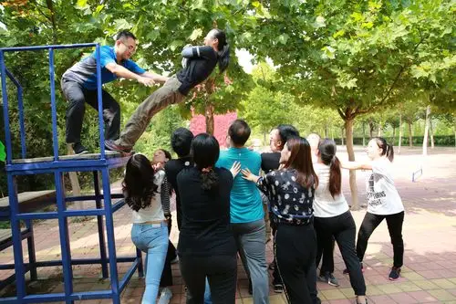 集团公司组织百名员工开展素质拓展训练活动