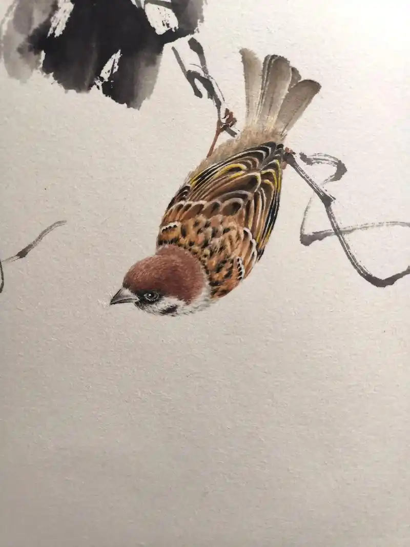 水墨写意 #国画 #花鸟画 #麻雀 #工兼写 - 抖音