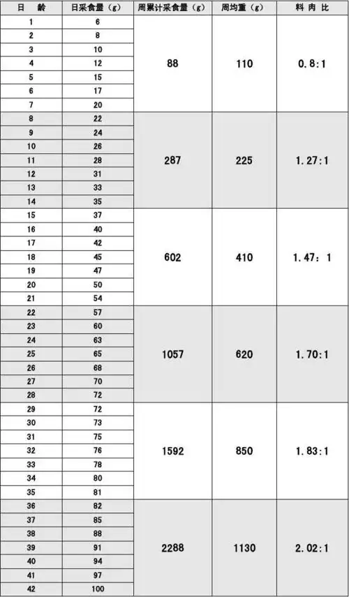 817 肉鸡生产性能表_文档下载