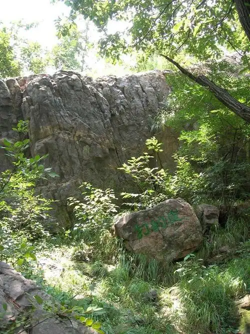 整个景区阳春山花烂漫,鸟语花香,盛夏绿树成荫,流水潺潺,一年四季如