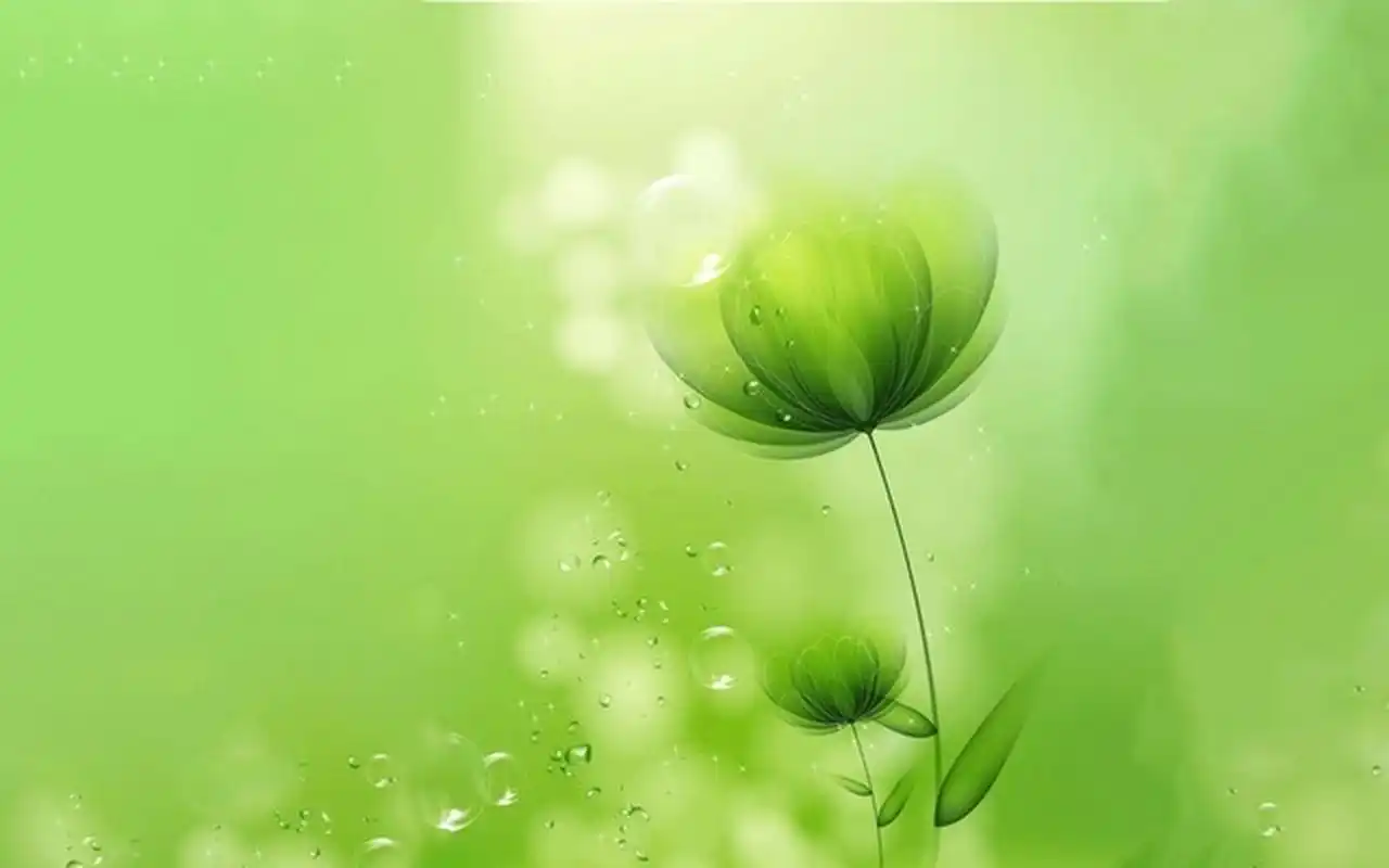 励志人生# 学会从失败中吸取经验.