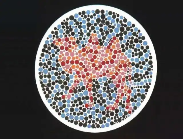 伴性遗传――红绿色盲