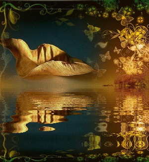 300_325gif 动态图 动图