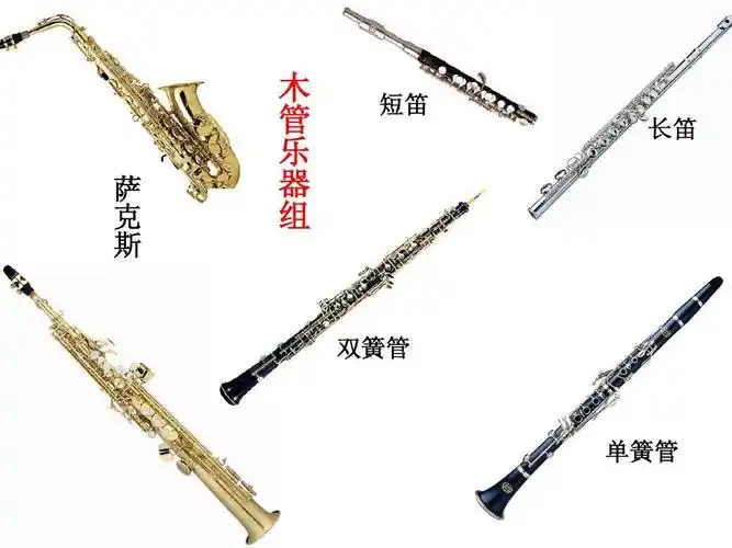 管弦乐器介绍