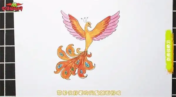 凤凰简笔画颜色