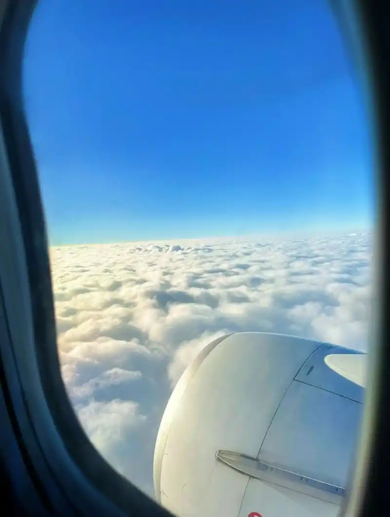 真觉得自己挺勇敢的第一次坐飞机的uu们一定要看清楚是哪个航站楼啊!