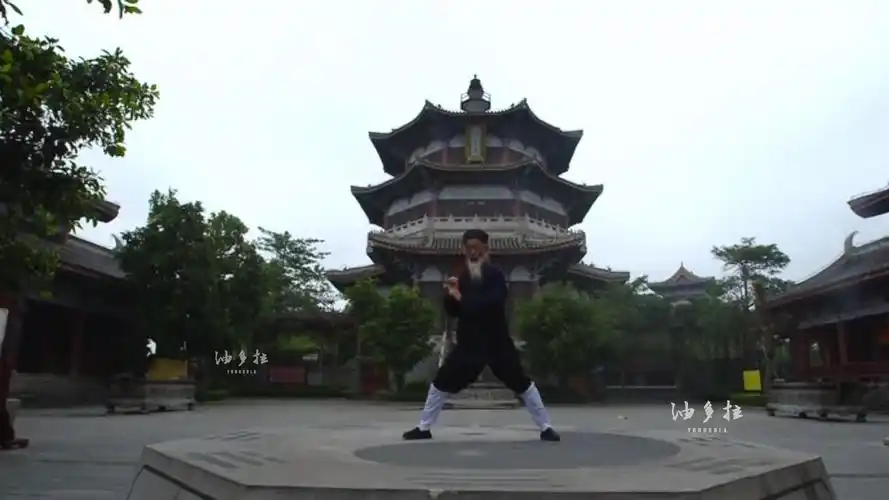 张至顺道长亲自示范八部金刚功