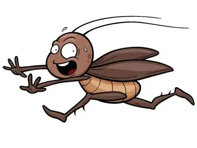 打不死的小强究竟有多强,为什么说蟑螂最好不要踩死?