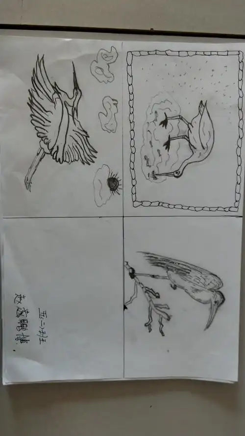 孩子心中的白鹭