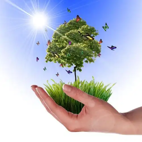 美女手上长满草地的小岛