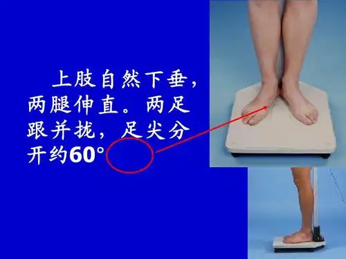 两足 跟并拢,足尖分 开约60°.