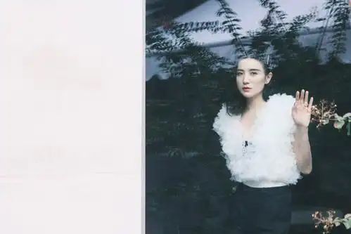 宋佳最新写真曝光 诠释冷调温柔的独特神秘感_手机搜狐网