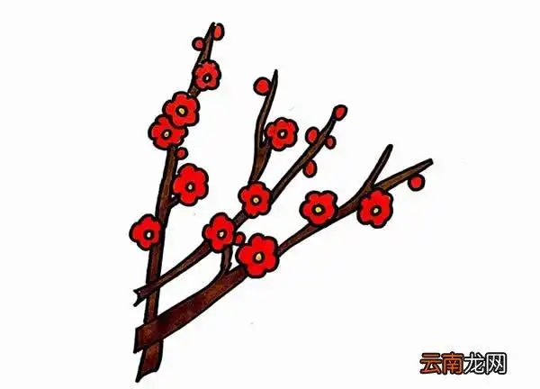 梅花彩色画法教程简笔画