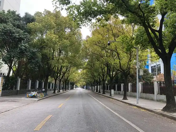 上海无人的街道疫情