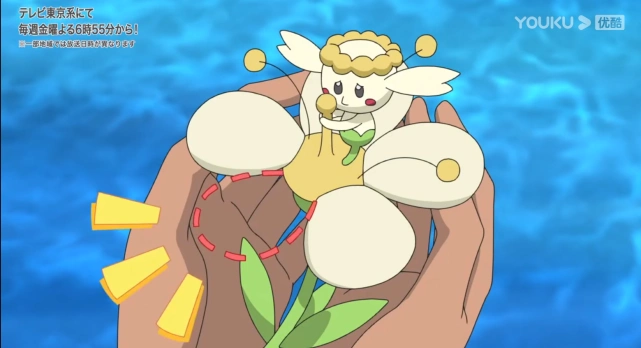 宝可梦旅途66卡洛斯帮花蓓蓓找花为啥小智不去湿地找黏龙