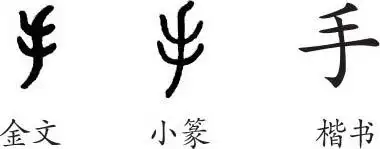 《手》字义,《手》字的字形演变,小篆隶书楷书写法《手》 - 说文解字
