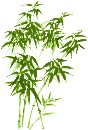 矢量竹子免抠元素图片_元素素材5699195_万素网
