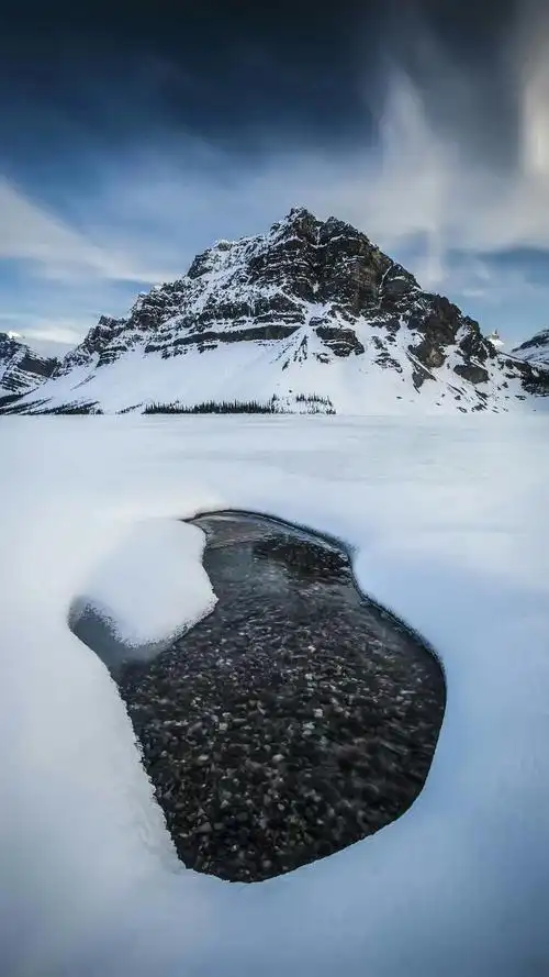 征服命运～威尔玛·鲁道夫