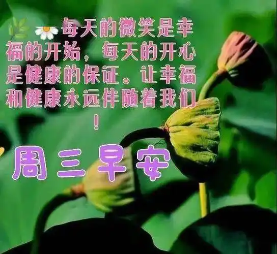 2021年8月4日星期三早上好问候祝福动态表情图片周三最新早安问候语