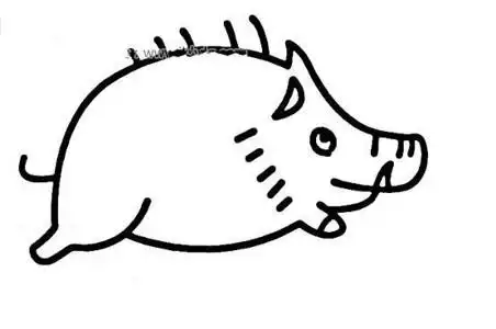 可爱的小猪简笔画实例及步骤