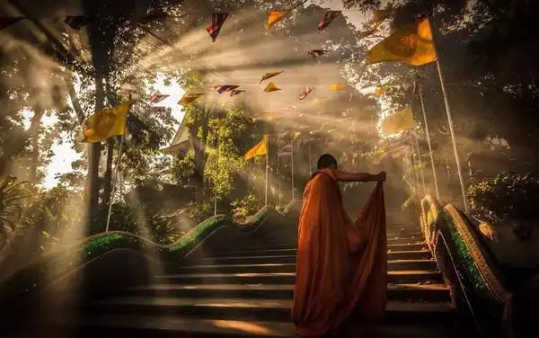 我刚刚出家的时候,寺庙里面的老和尚就告诉我:你学扫地要学三年,学