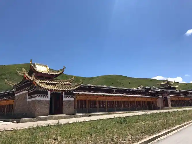 甘南藏族自治州四日游,尕海,若尔盖郎木寺,阿坝若尔盖花湖,黄河九曲第