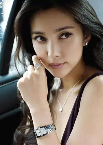 2004年的贺岁电影《天下无贼》更是将李冰冰的事业推上巅峰.