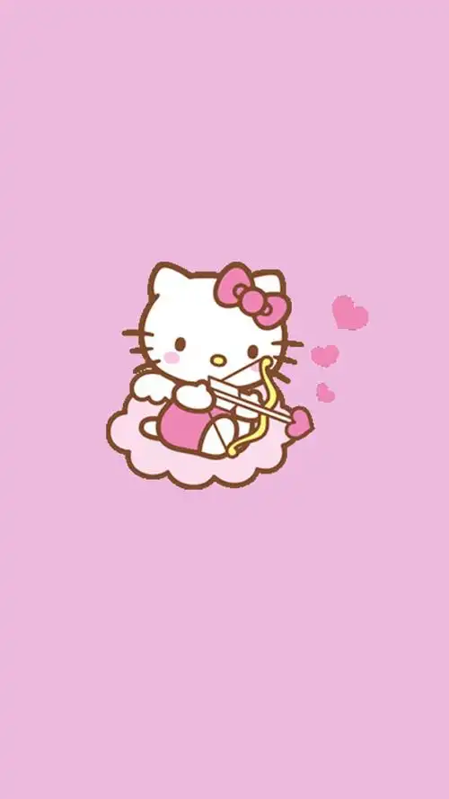 钟爱这只猫kitty