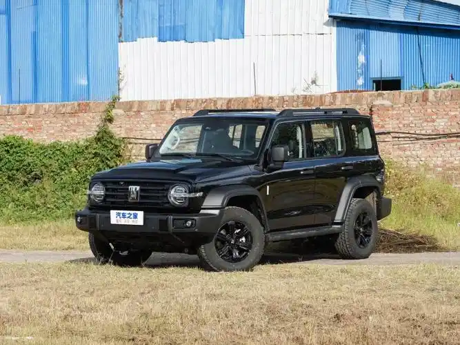 长城汽车 坦克300 2023款 越野版 2.0t 征服者