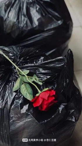 前几天看到垃圾堆上放了支玫瑰 删除 赞回应 来自 豆瓣app