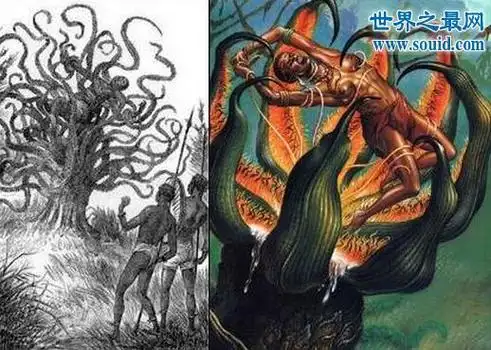 食人树奠柏恐怖凶猛的吃人植物