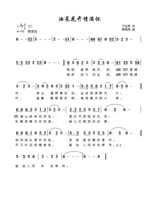 油菜花开情满怀风之醉原创音乐制作