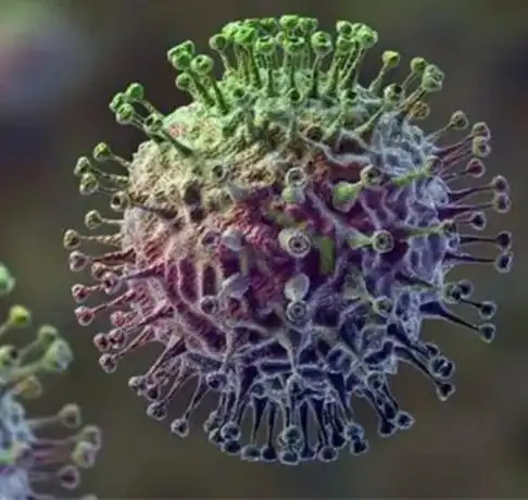 世卫组织再次警告x病毒必将爆发比新冠致命20倍一切刚开始